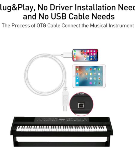 iOS 13 Charging Cable MIDI USB OTG Type B Keyboard Adapter for iPhone X XS MAX XR 8 7 6 Electric Piano Audio Connector - Image 8